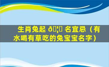 生肖兔起 🦍 名宜忌（有水喝有草吃的兔宝宝名字）